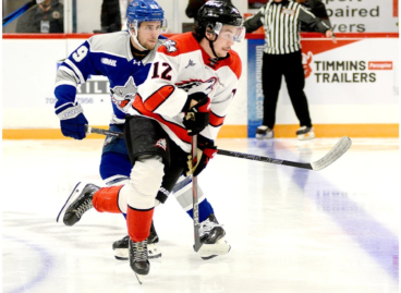 huskies-wolves
